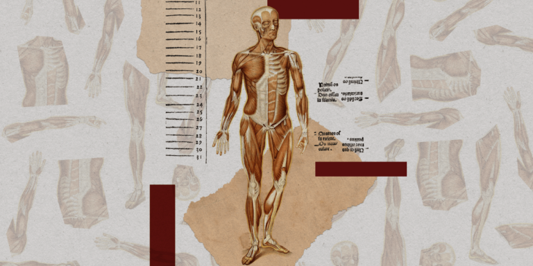 Ethically sourced “spare” human bodies could revolutionize medicine