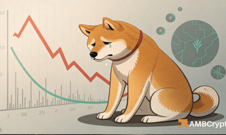 Shiba Inu – How a new ‘low’ might impact memecoin’s price in the short term