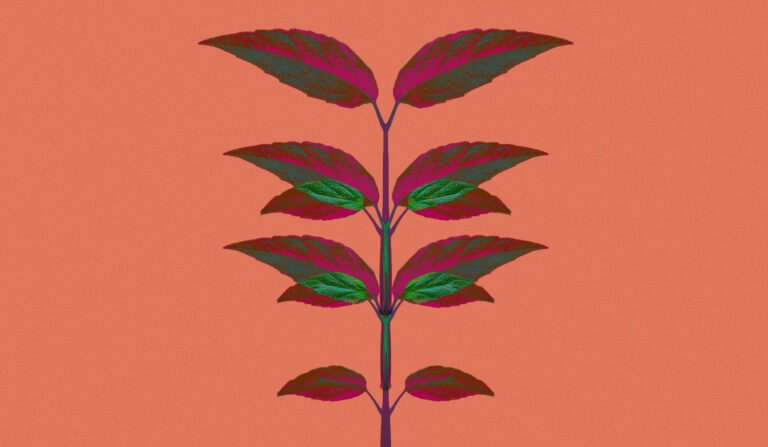 BarkleyOKRP launches new standalone media agency MissionOne Media to ‘scale with soul’