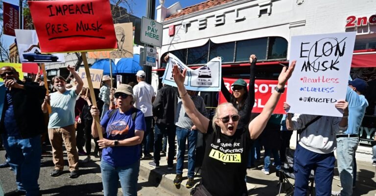 ‘Tesla Takedown’ protesters planning ‘biggest day of action’