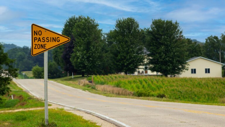 Everything You Need To Know About No-Passing Zones