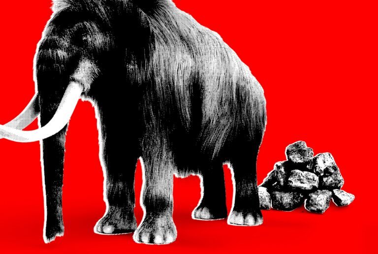 The Trump Administration Is Turning Science Against Itself