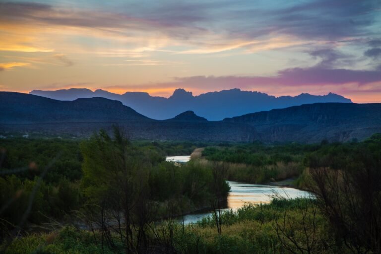One Man’s Quest to Reforest the Rio Grande Valley