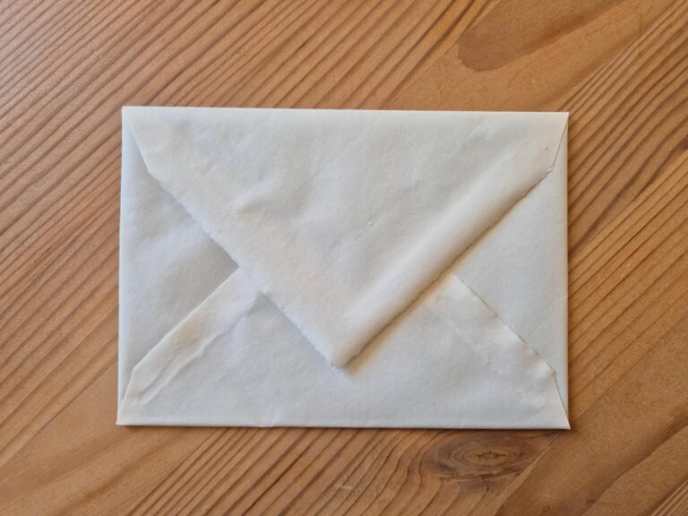 A community-led fork of Organic Maps