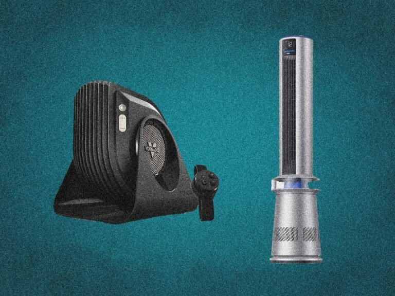 The 13 Best Fans, Editor Tested & Reviewed (2025) The 13 Best Fans, Editor Tested & Reviewed (2025)