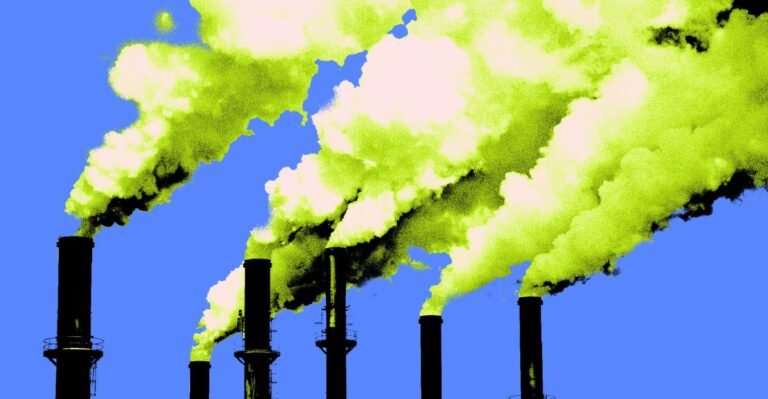 Young people sue Donald Trump over climate change