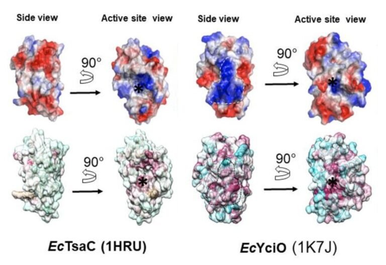 Deep learning gets the glory, deep fact checking gets ignored Deep learning gets the glory, deep fact checking gets ignored