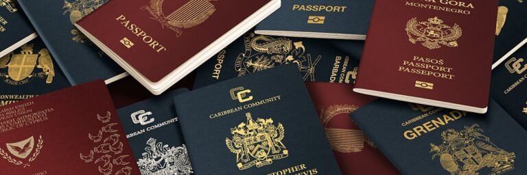 UK’s error-prone eVisa system is ‘anxiety-inducing’