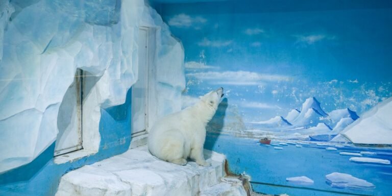 The Anthropocene illusion