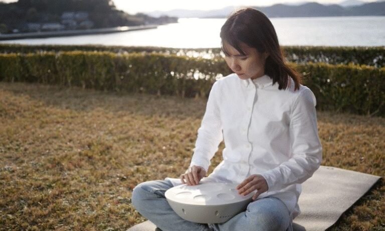 Roland just released a weird little riff on an acoustic handpan