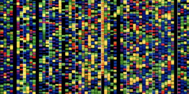 The Download: Google DeepMind’s DNA AI, and heatwaves’ impact on the grid