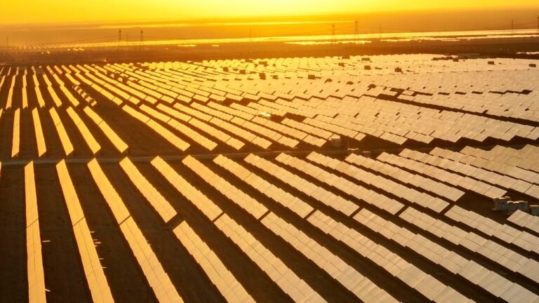 4.6B Years On, the Sun Is Having a Moment