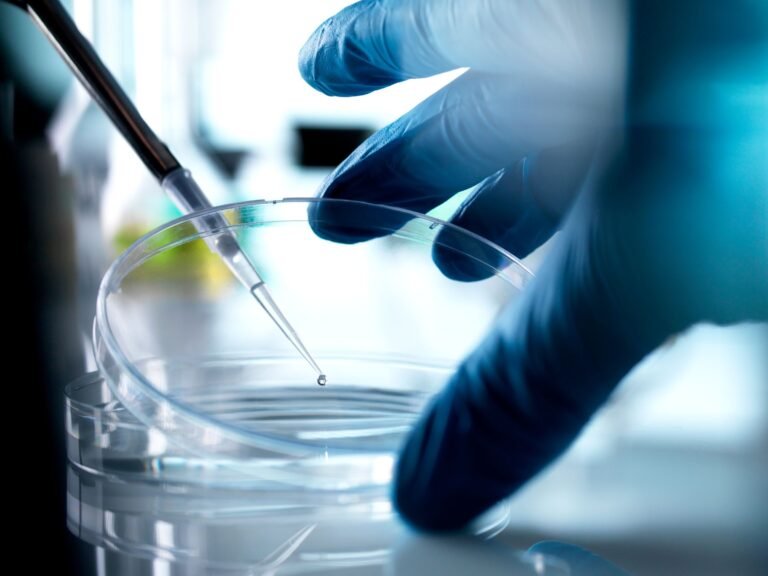 Florida Is Now a Haven for Unproven Stem-Cell Treatments