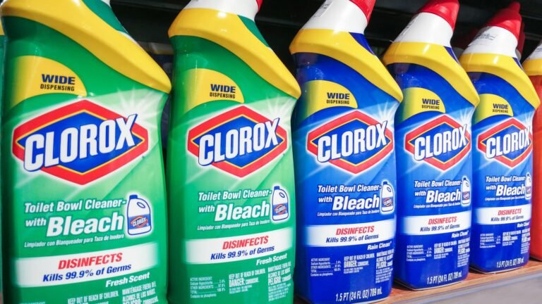 Hackers fooled Cognizant help desk, says Clorox in $380M cyberattack lawsuit