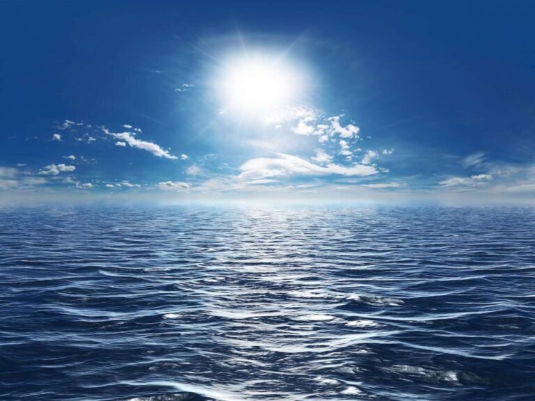 This animal could rule the Earth when mankind becomes extinct