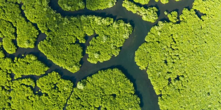 The greenhouse gases we’re not accounting for