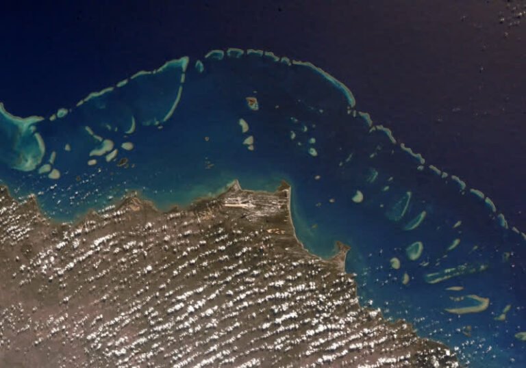 Australia’s Great Barrier Reef suffers record coral loss after fifth mass bleaching event Australia’s Great Barrier Reef suffers record coral loss after fifth mass bleaching event