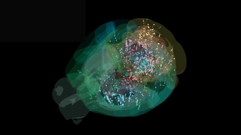 This Is the First Time Scientists Have Seen Decisionmaking in a Brain