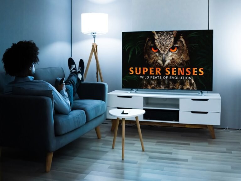 Cut the noise and dive into history, science, and culture with MagellanTV