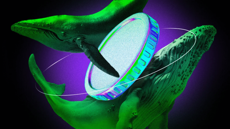 Crypto Whales Bought These Altcoins in the Second Week of September 2025