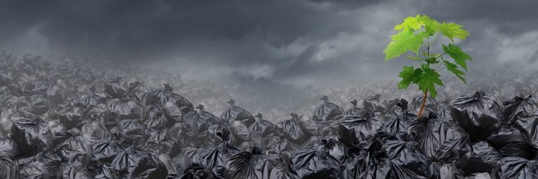 How AI and the Trump administration are fuelling ‘quiet quitting’ on IT sustainability