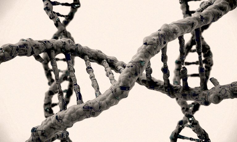 Is life a form of computation?