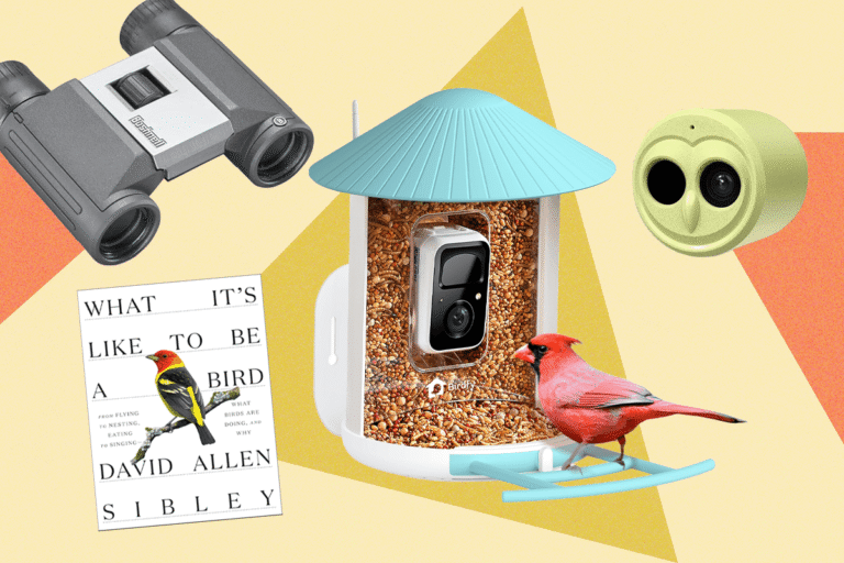 The 15 Best Tried and Tested Gifts for Bird Lovers (2025)