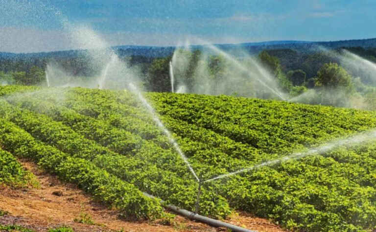 Instacrops will demo its water-saving, crop-boosting AI at TechCrunch Disrupt 2025
