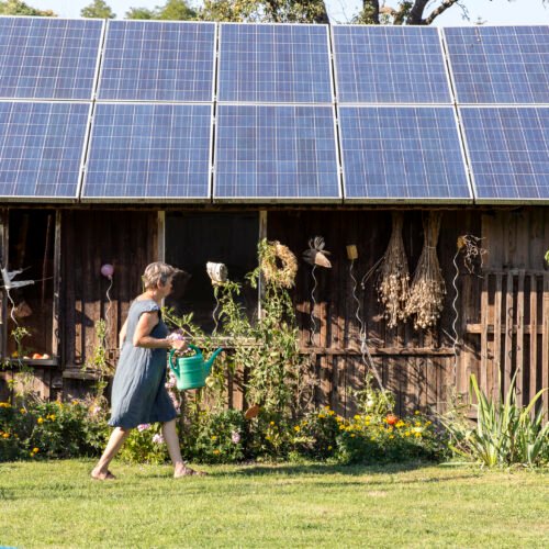 Trump’s EPA sued for axing $7 billion solar energy program Trump’s EPA sued for axing $7 billion solar energy program