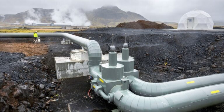 What’s next for carbon removal? What’s next for carbon removal?