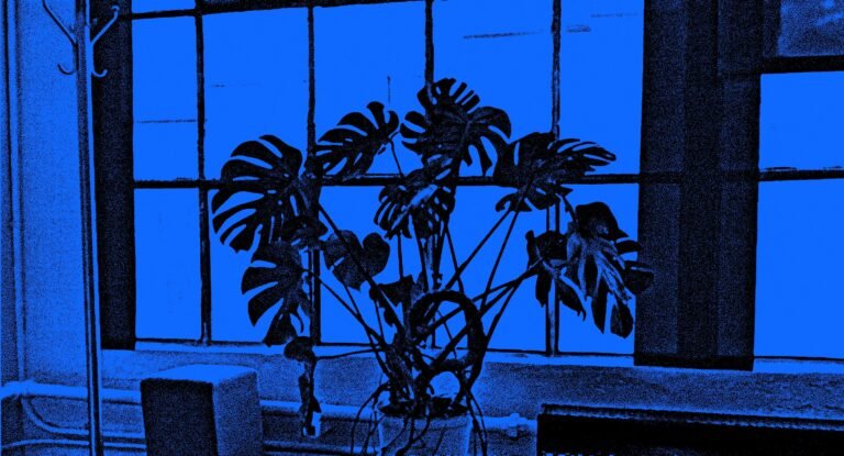 The Argument for Letting AI Burn It All Down The Argument for Letting AI Burn It All Down