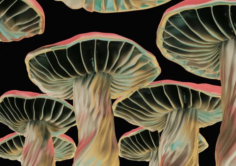 Researchers turn mushrooms into living memory chips for sustainable computing