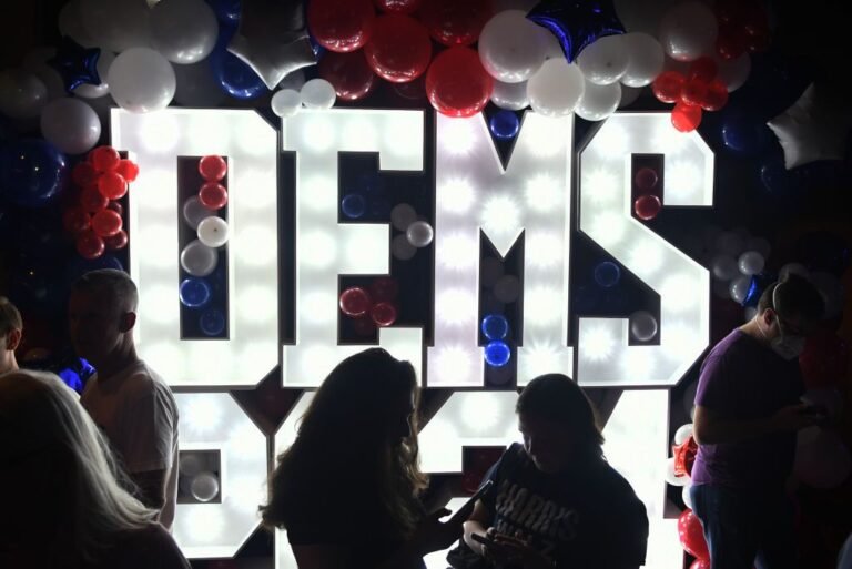 It’s Been a Year Since Trump Was Elected. Democrats Still Don’t Get the Internet