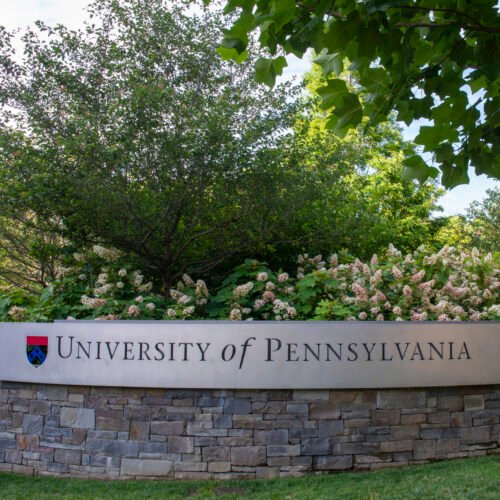 Musk and Trump both went to Penn—now hacked by someone sympathetic to their cause Musk and Trump both went to Penn—now hacked by someone sympathetic to their cause