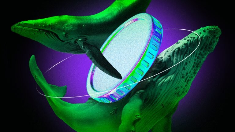 What Crypto Whales are Buying Amid the Bear Market