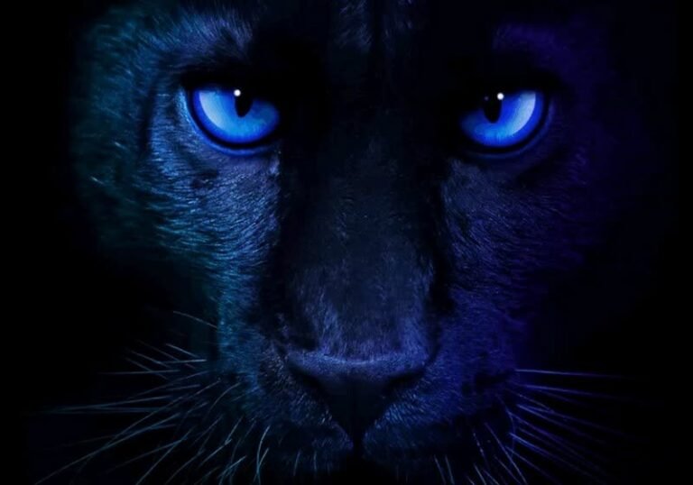 Intel confirms Core Ultra Series 3 “Panther Lake” CPUs will debut at CES on January 5th