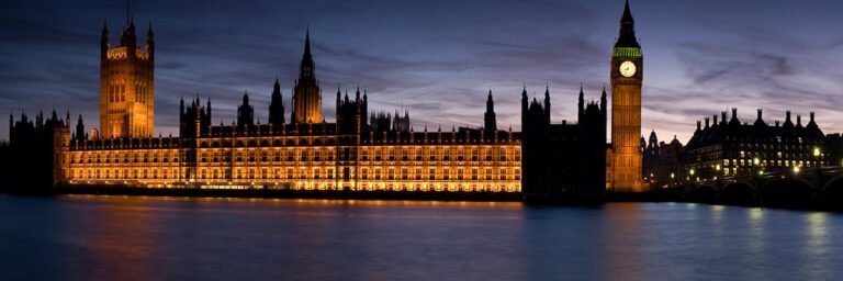 Error-prone eVisa system a precursor of digital ID