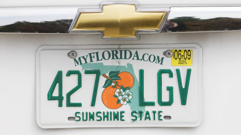 Florida License Plate Law Continues To Confuse Drivers Hit With Fines