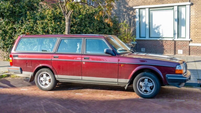 What Are The Rubber Strips On Older Car Doors Really For?