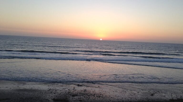 If You Don’t Design Your Career, Someone Else Will