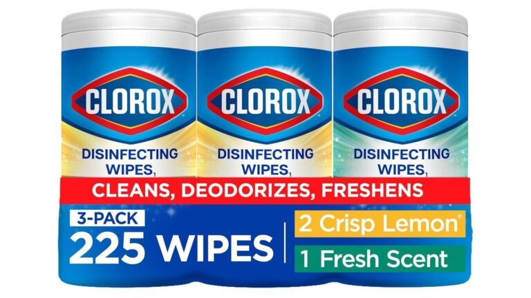 Can Clorox Wipes Clean Your Dirty Car Seats?