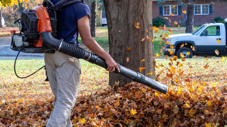 Gas-Powered Leaf Blower Bans Are Escalating Across The US
