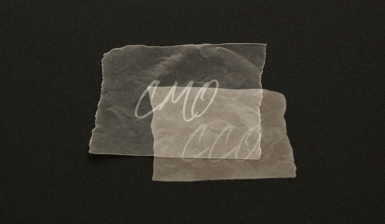 The anatomy of an agency chief client officer The anatomy of an agency chief client officer