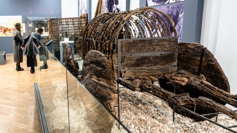 This 3,500-Year-Old Covered Wagon Might Just Be The Oldest In The World