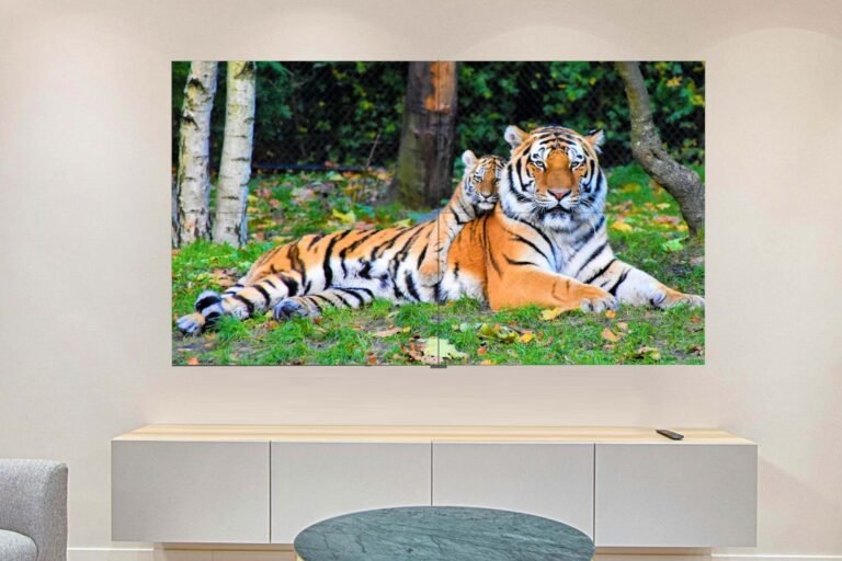 This 130-inch OLED TV sticks to a wall with suction tech This 130-inch OLED TV sticks to a wall with suction tech