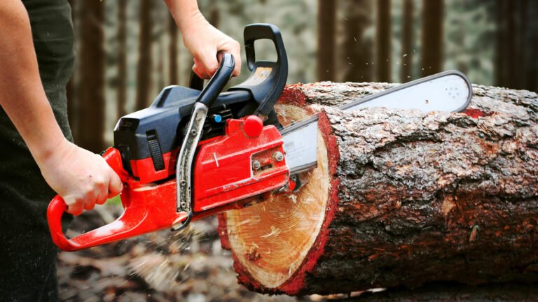 How To Maintain Your Chainsaw Chain To Stop Rust Before It Starts