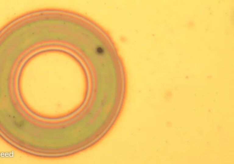 Scientists develop nanophotonic material that changes color, texture, and shape on demand