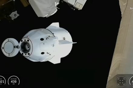 How to watch SpaceX Crew-11 splash down a month early How to watch SpaceX Crew-11 splash down a month early