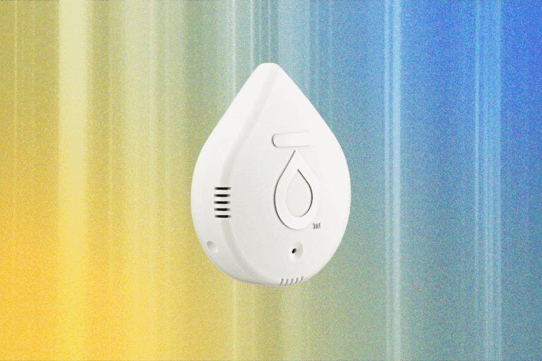 5 Best Water Leak Detectors (2026), Tested and Reviewed