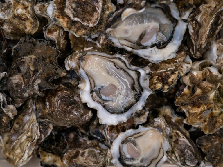 NASA satellite data helps oyster farmers choose where to grow